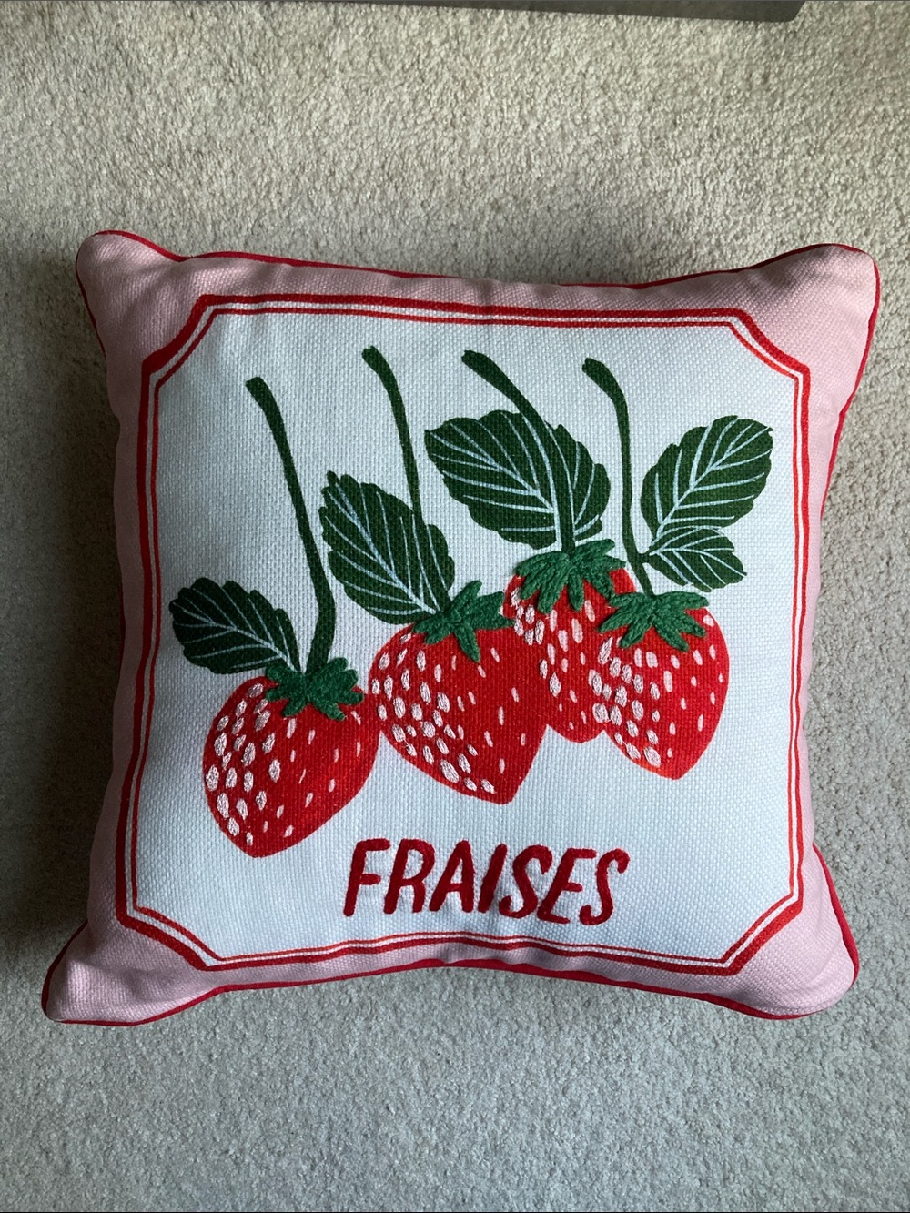 Anthropologie Les Fruits cotton embroidered pillow